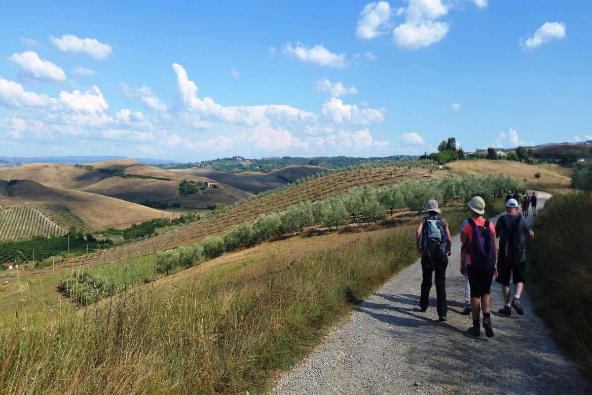 Via Francigena