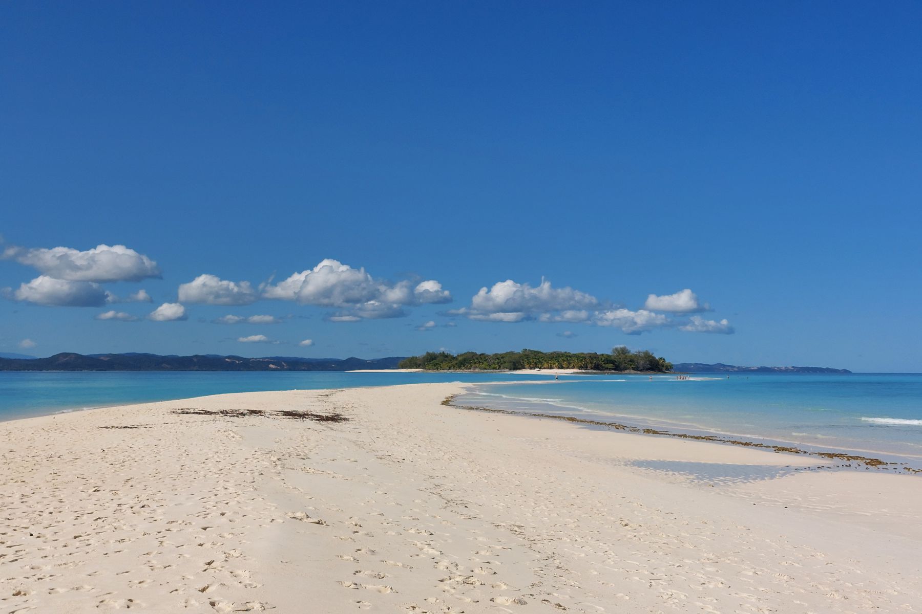 Madagascar wildlife: avventura a Nosy Be