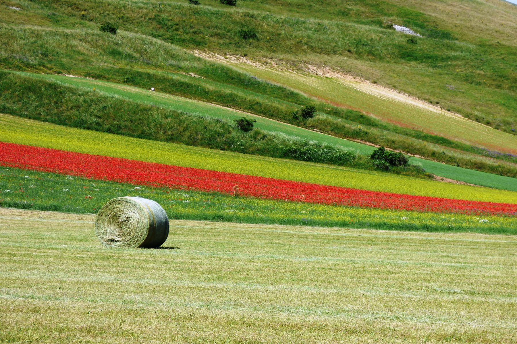 Il Grande Anello dei Sibillini in E-bike 
