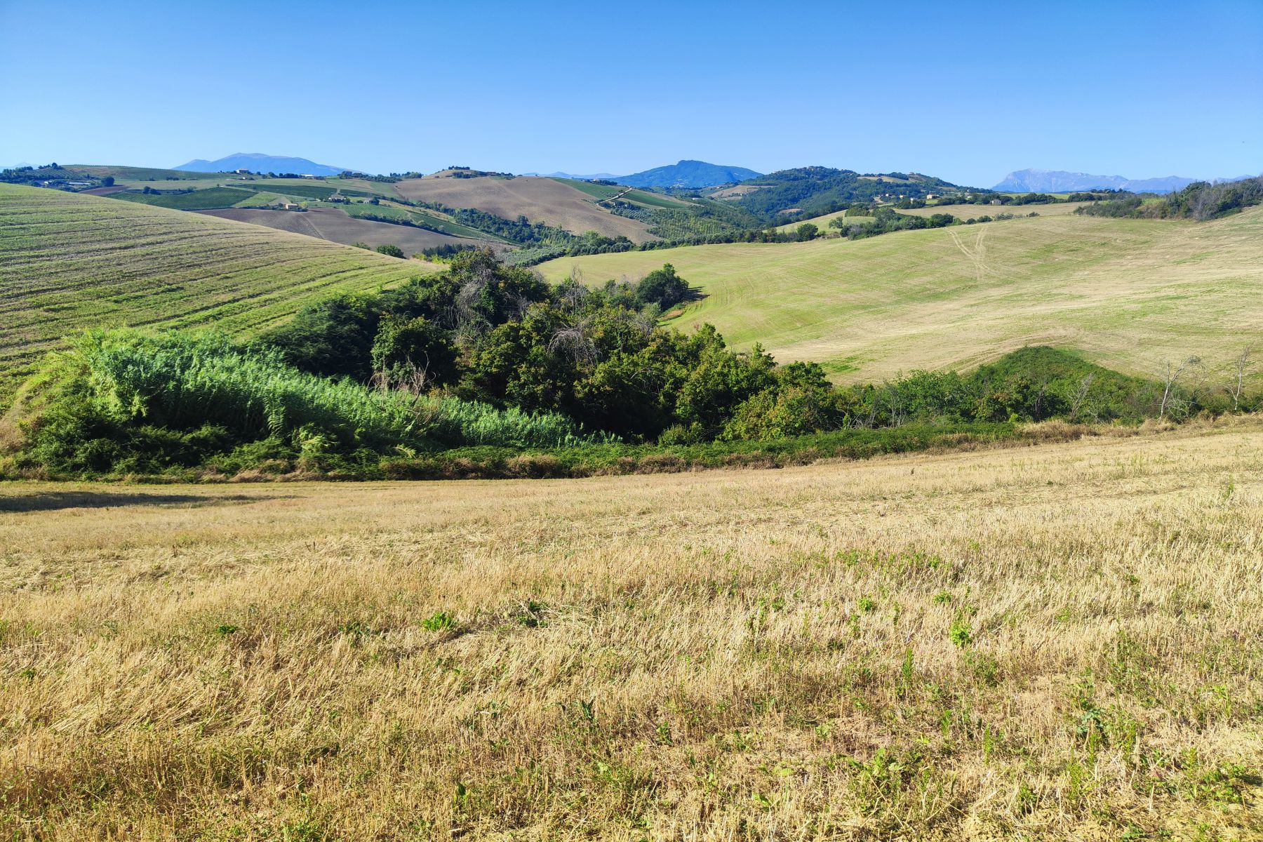 Escursione a Montalto con degustazione finale